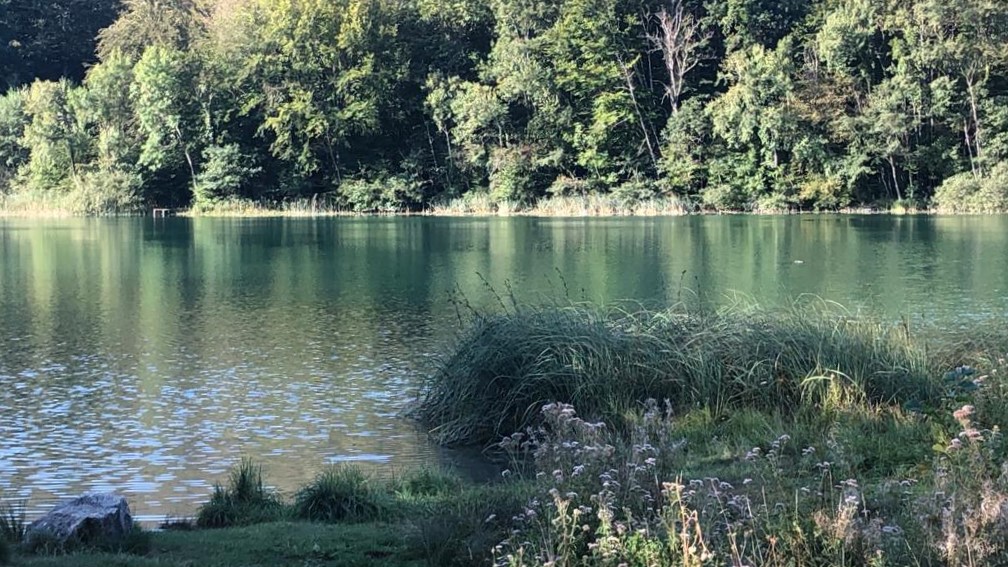 Le Lacd'Ambléon