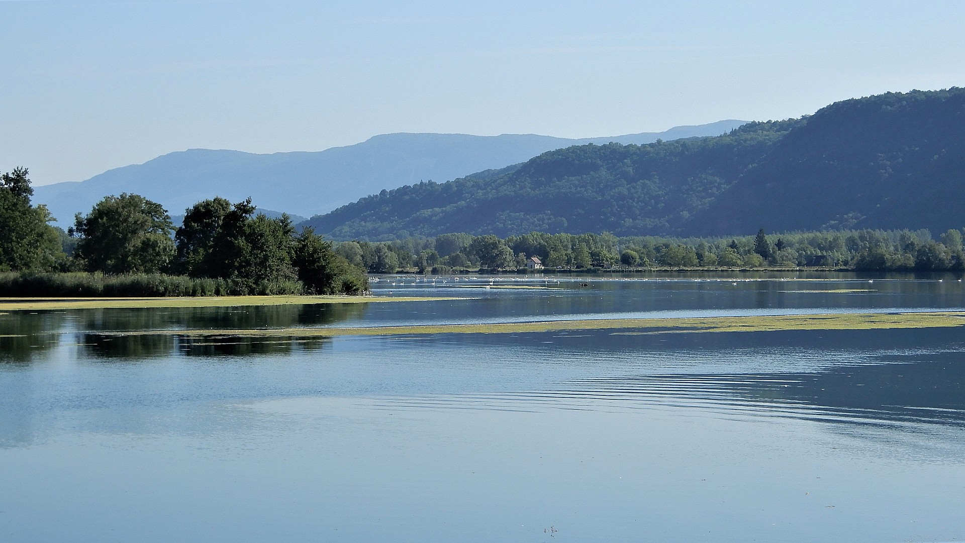 Le lac de Massignieu de Rives