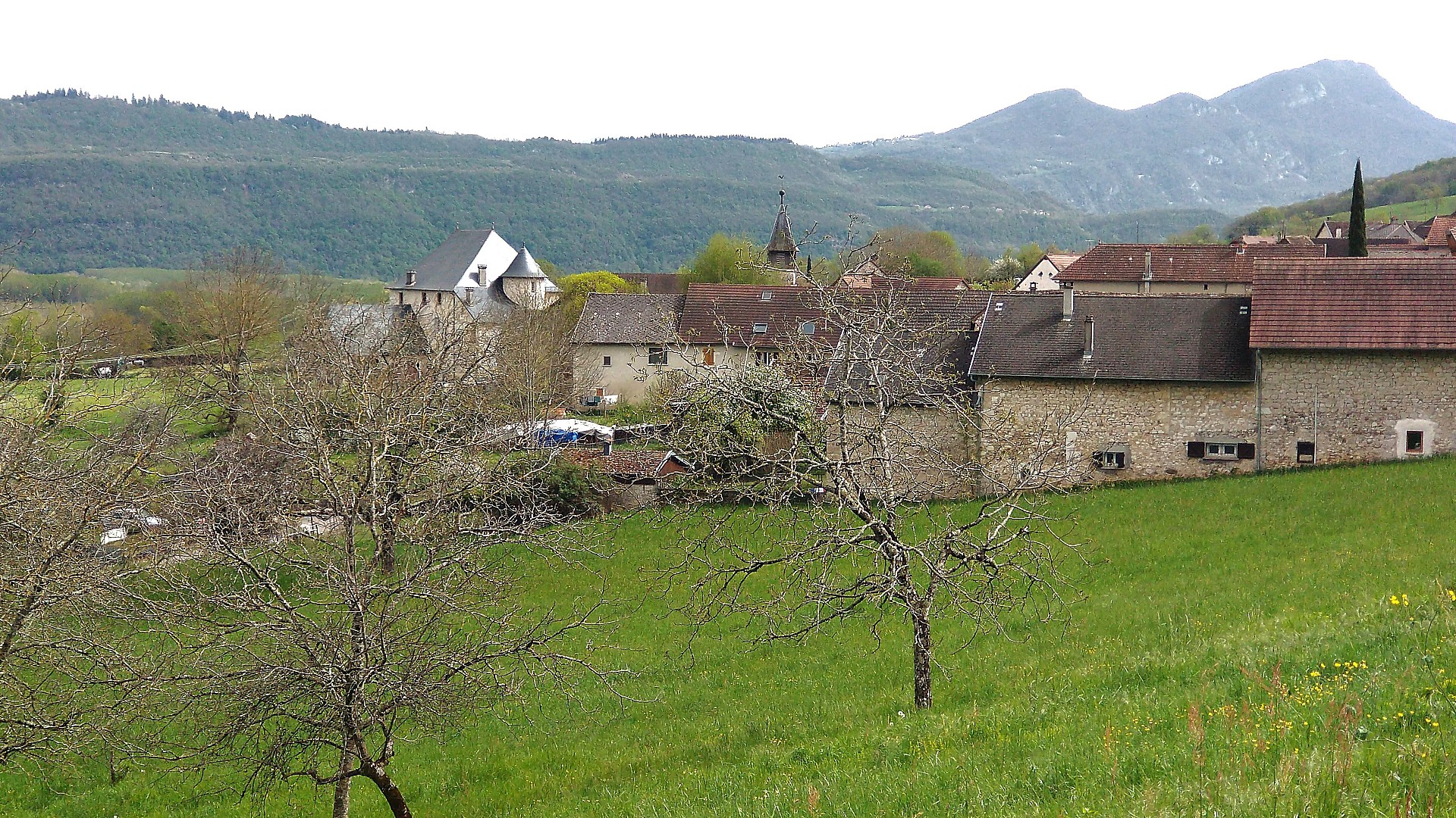 Pollieu