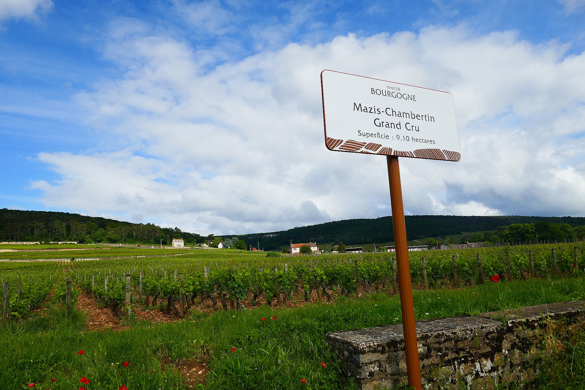 Un des neuf grands crus de Gevrey Chambertin