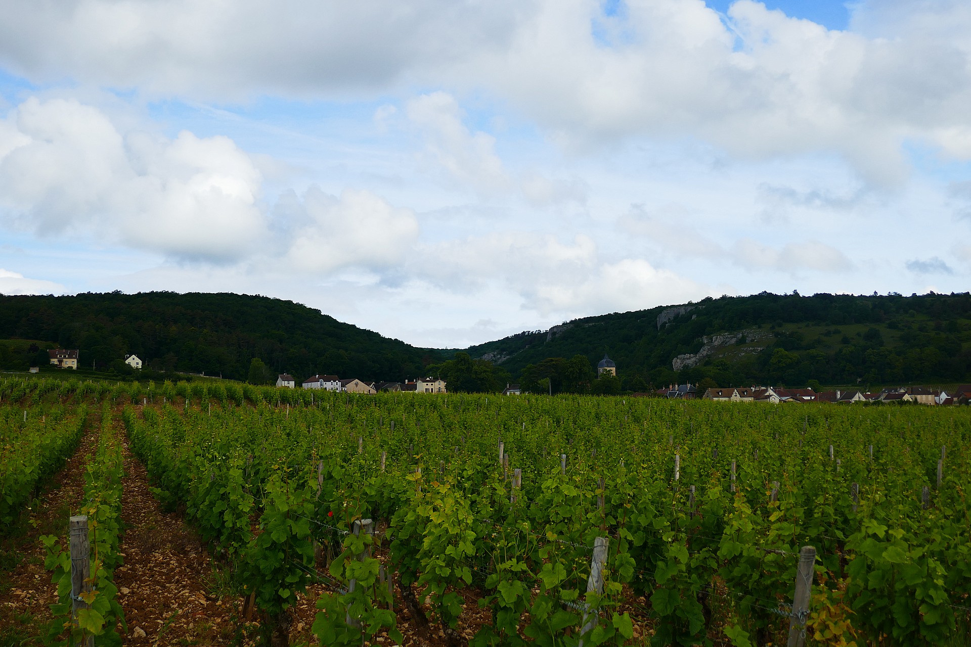 Après être passé par Chambolle Musigny que l'on voit au loin. La combe derrière est celle de la descente de Curley du CLM.