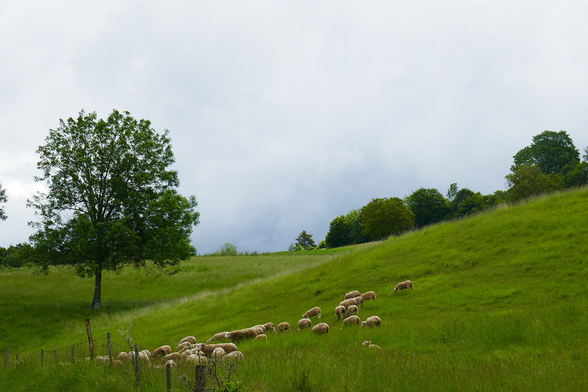 Dans la côte vers Reulle Vergy