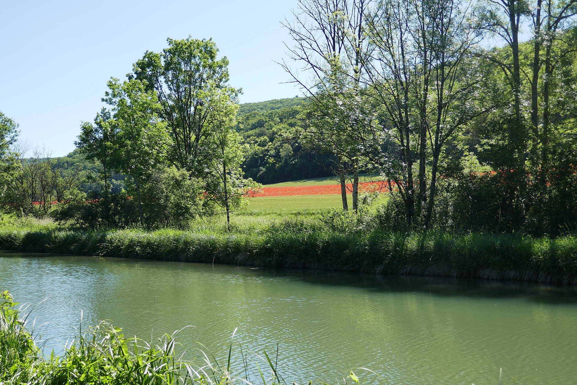 A proximité de Saint Victor sur Ouche