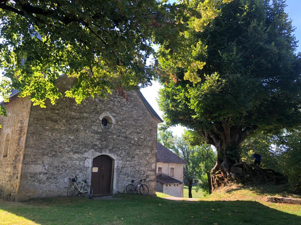 Le Tilleul à Sully