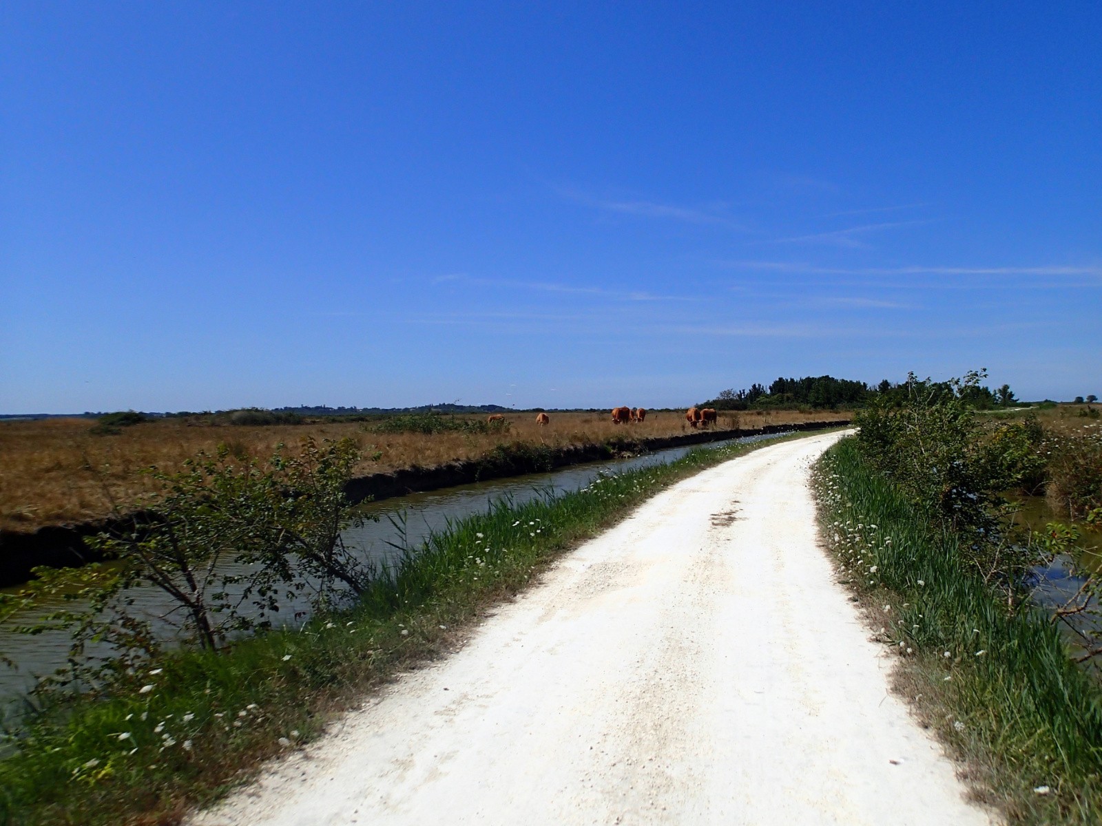 #4 En direction de Marennes-Oléron... En direction de Marennes-Oléron...
