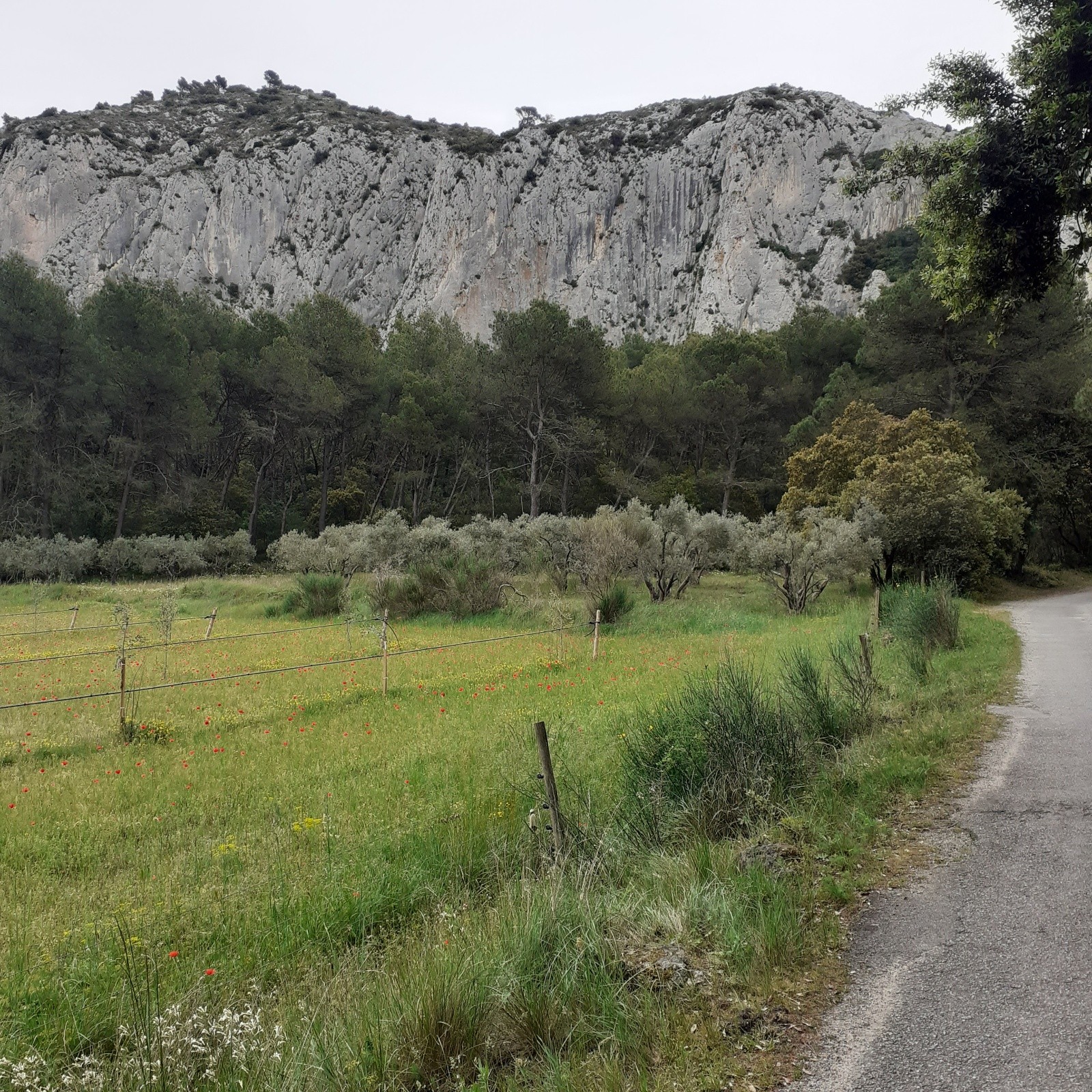 J3, Le Lubéron depuis Cheval Blanc