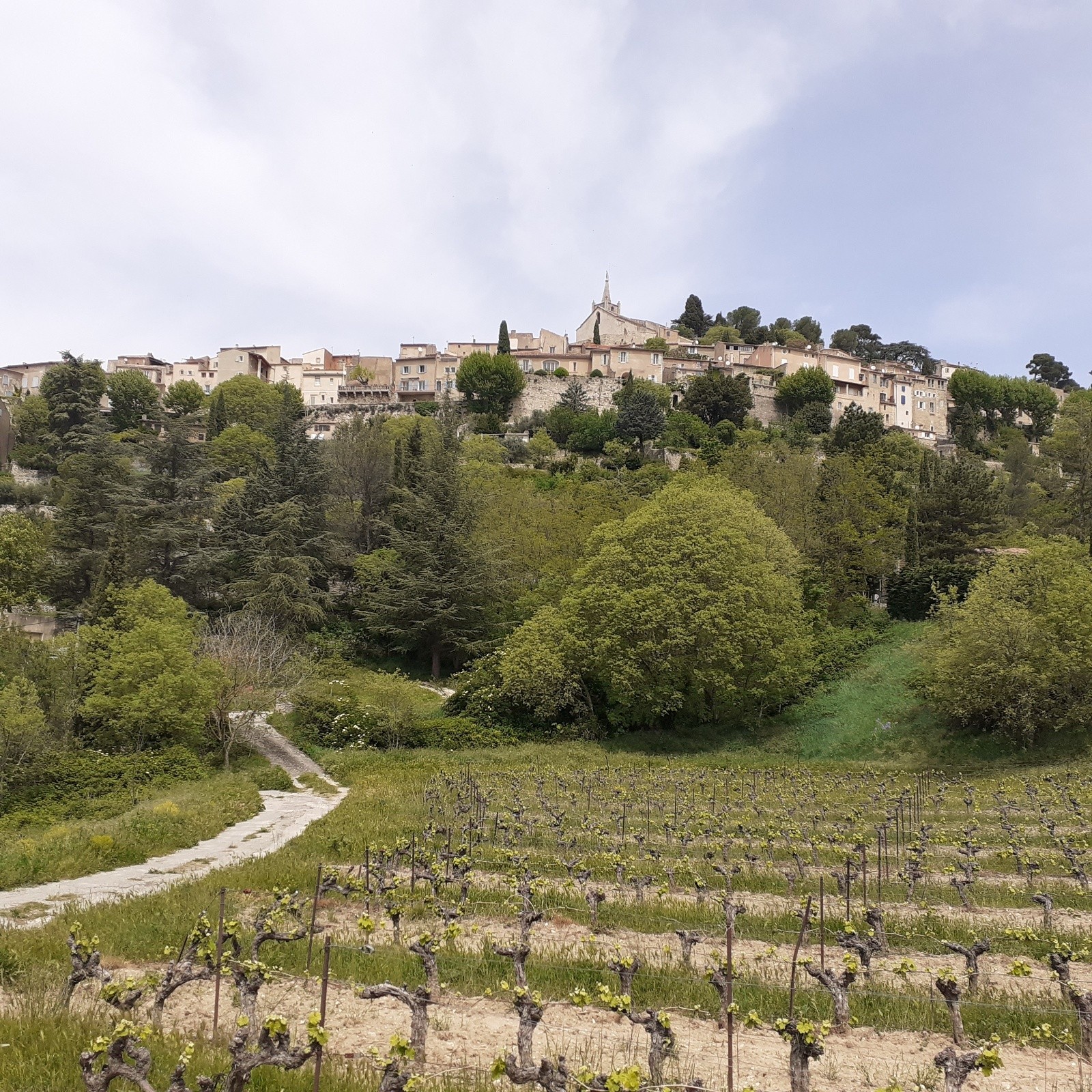 J3, descente de Bonnieux pour rejoindre Lacoste 