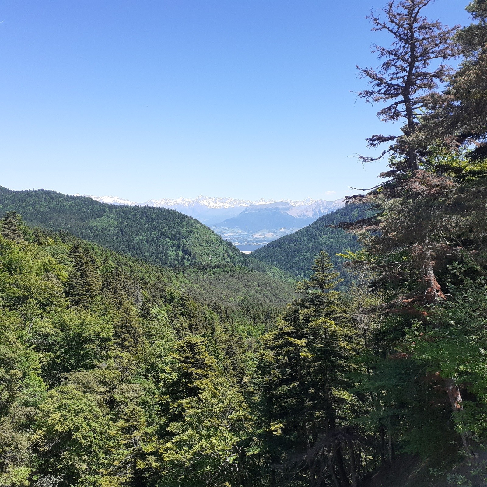 #25 J3, dans la descente, vue sur les Ecrins J3, dans la descente, vue sur les Ecrins