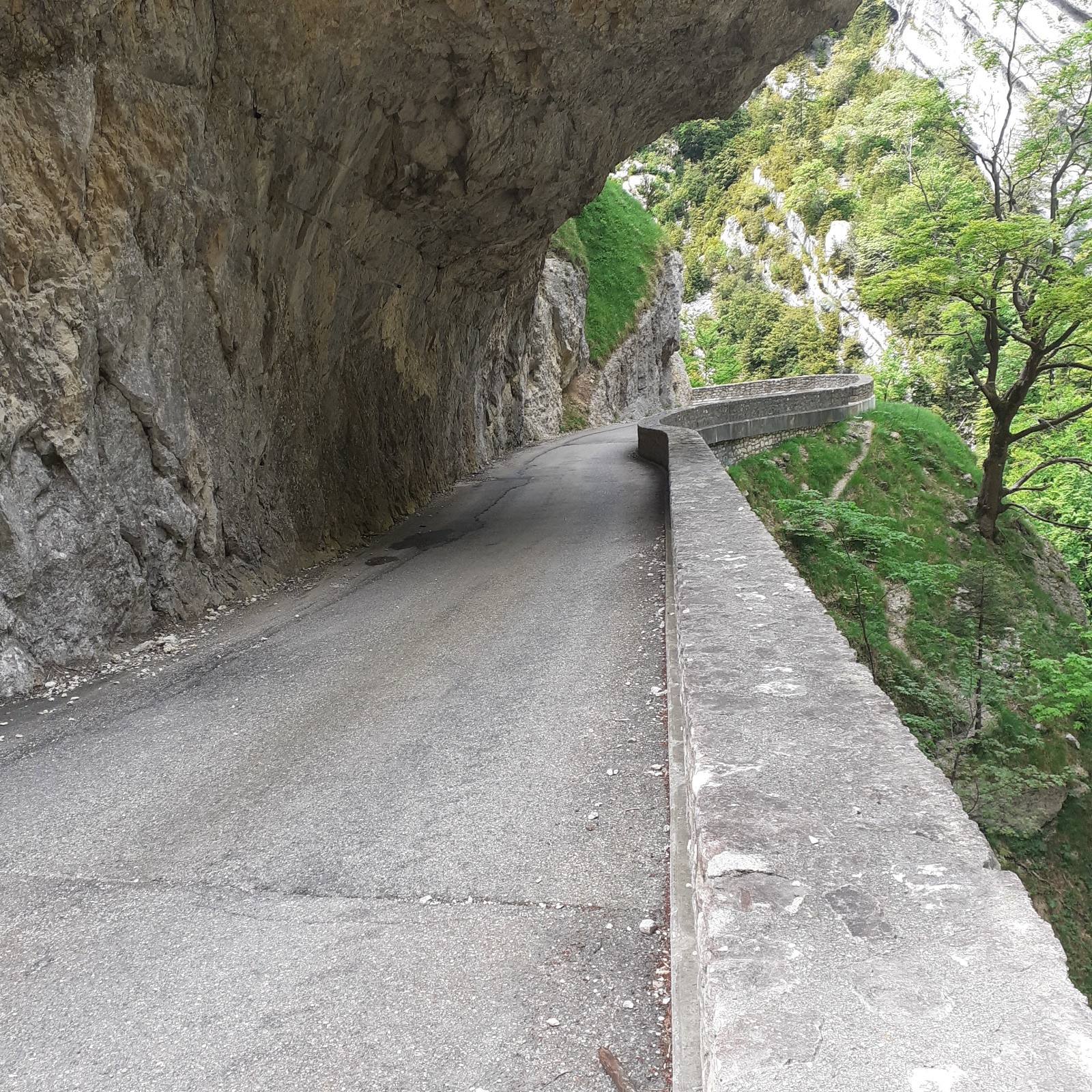 #4 J1, dans le canyon des Ecouges J1, dans le canyon des Ecouges