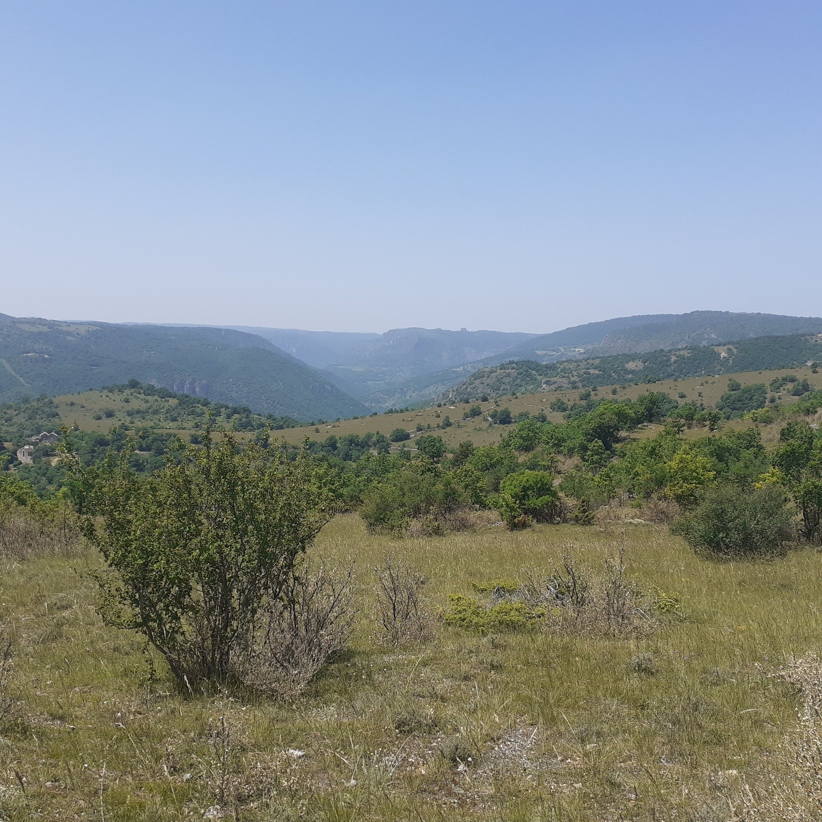 #21 J3 le Causse Noir J3 le Causse Noir