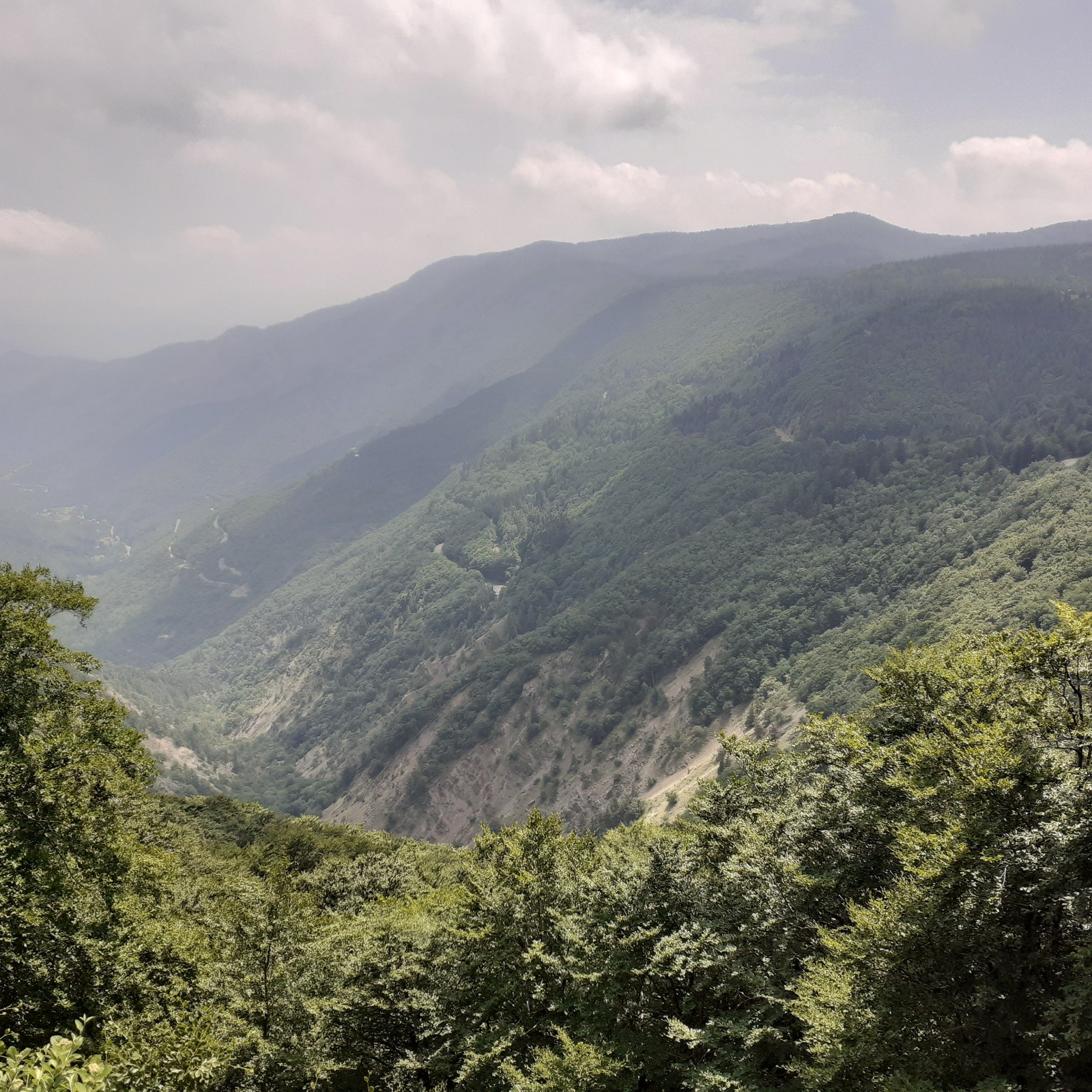 #29 J5 , la route de montée vers le col du Minier J5 , la route de montée vers le col du Minier