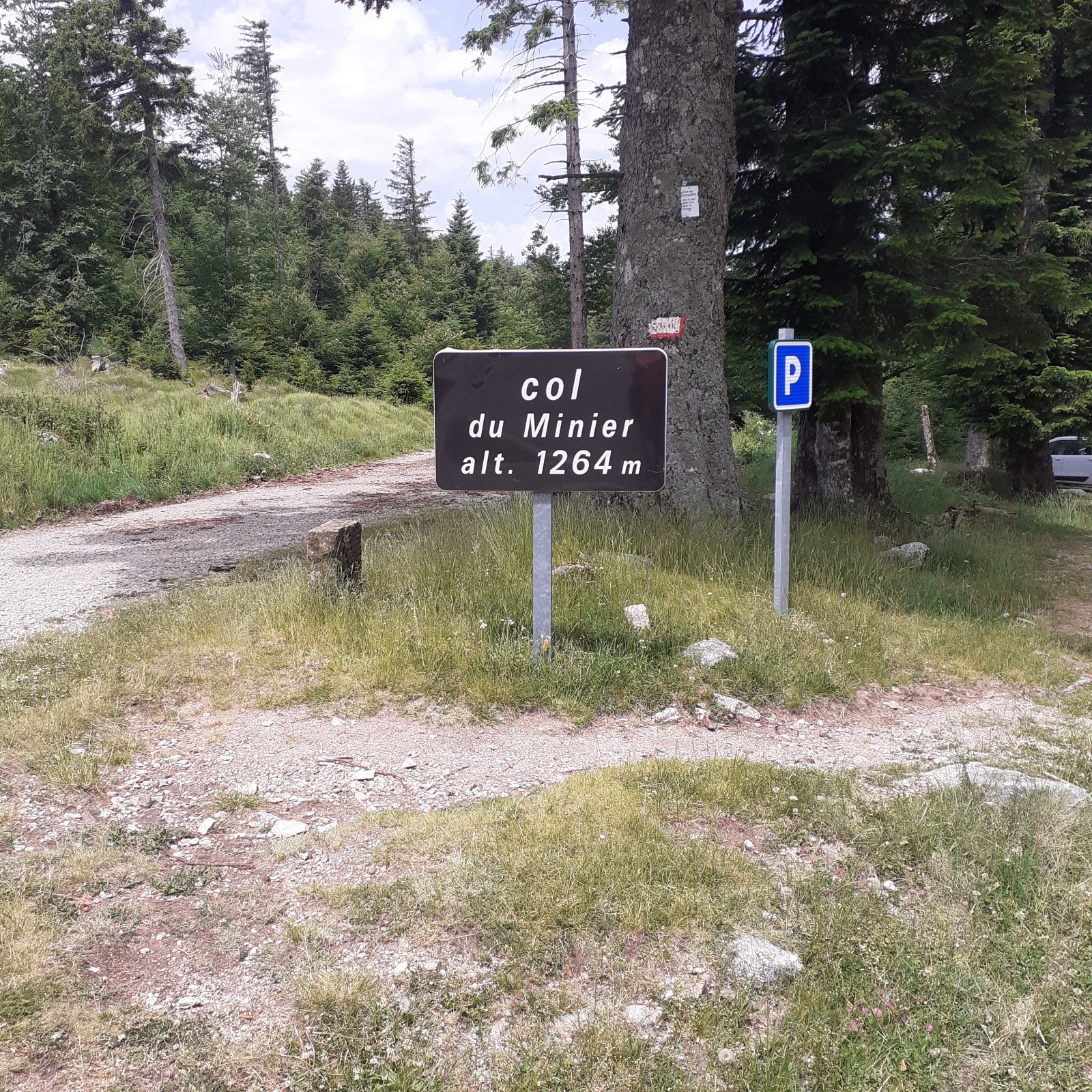 #28 J5, en montant vers l J5, en montant vers l'Aigoual