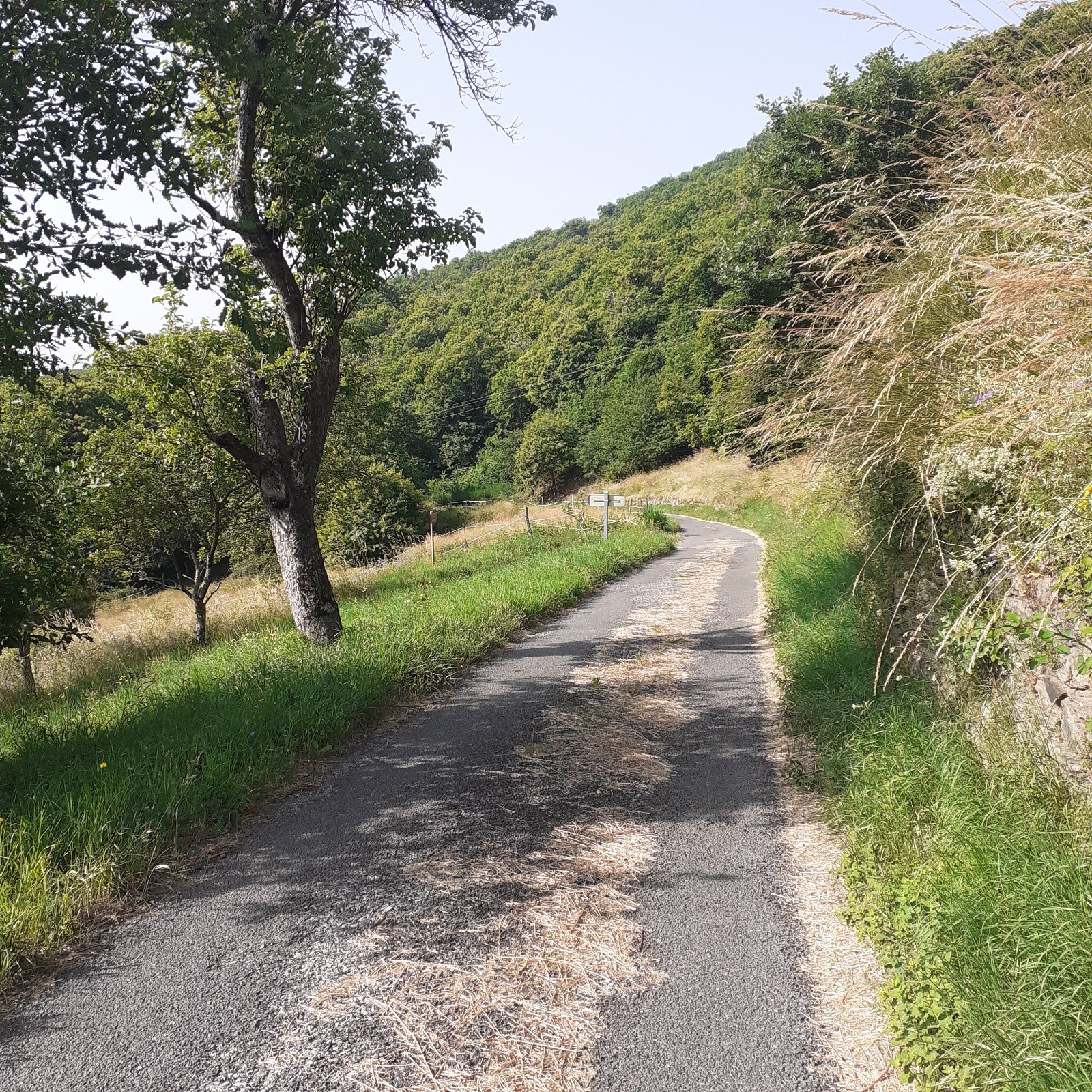 #38 J6 , on engage dans la descente vers Trabassac J6 , on engage dans la descente vers Trabassac