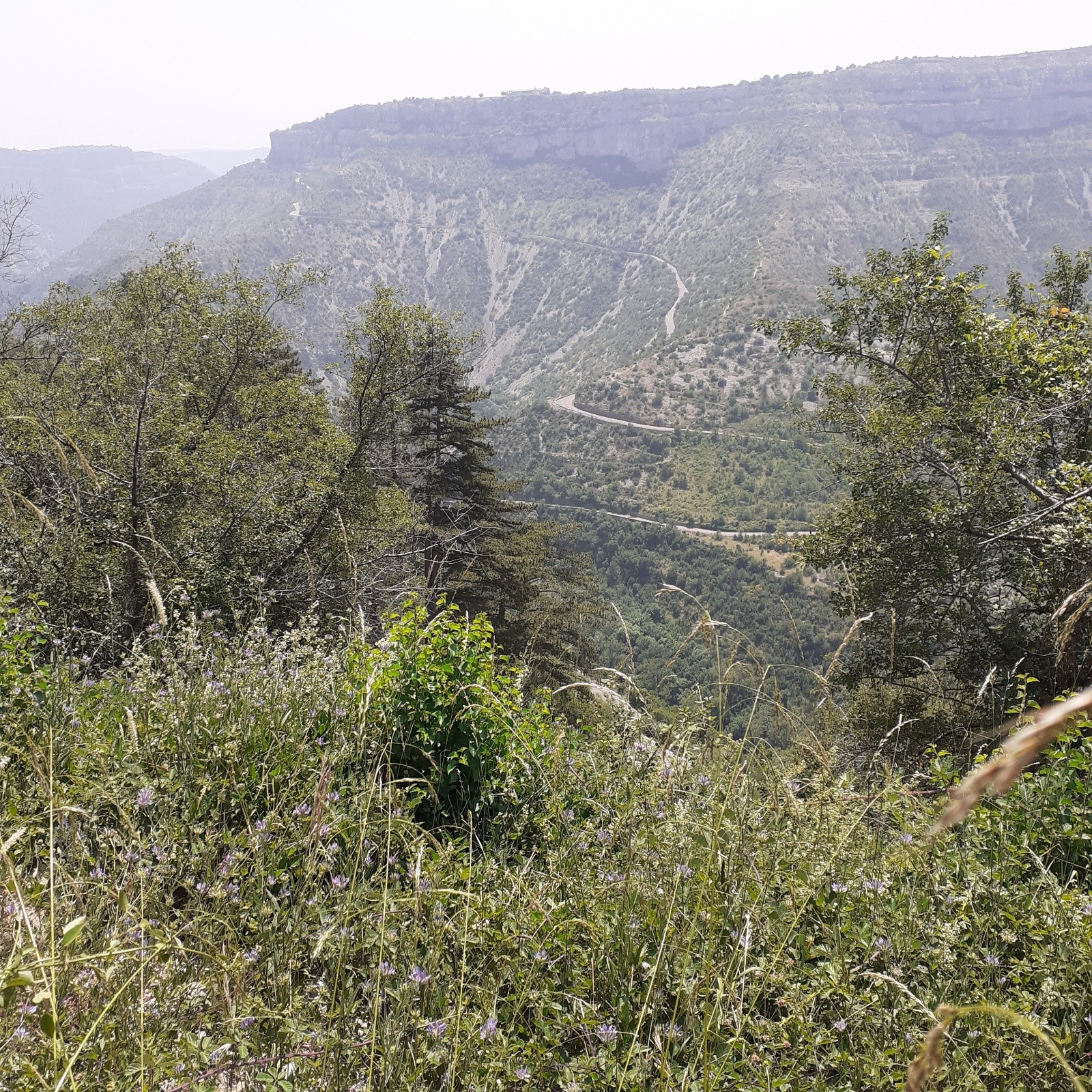 #25 J4, la route de descente depuis la Baume Auriol à la remontée vers Blandas J4, la route de descente depuis la Baume Auriol à la remontée vers Blandas
