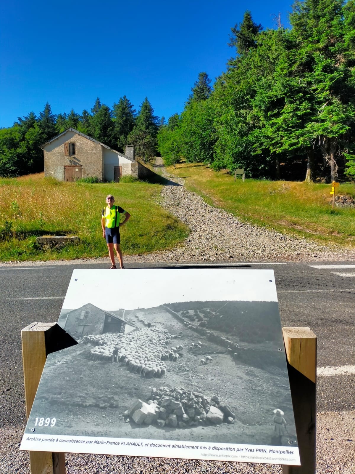 #6 Mise en évidence de l Mise en évidence de l'état du massif avant reboisement à la fin du 19eme siècle, en comparaison avec ce que nous connaissons aujourd'hui.