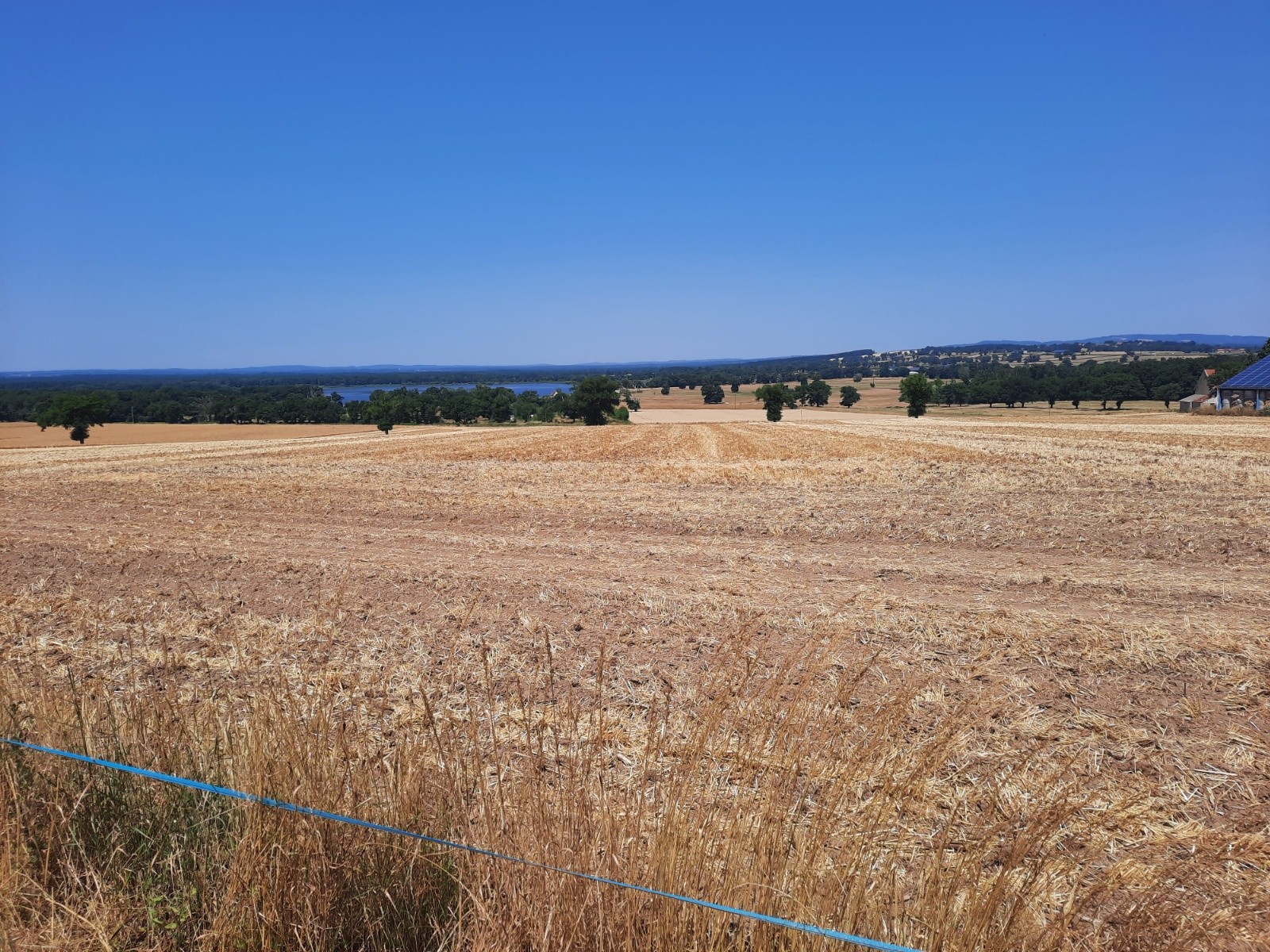 J4, la réserve naturelle de l'étang des Landes 