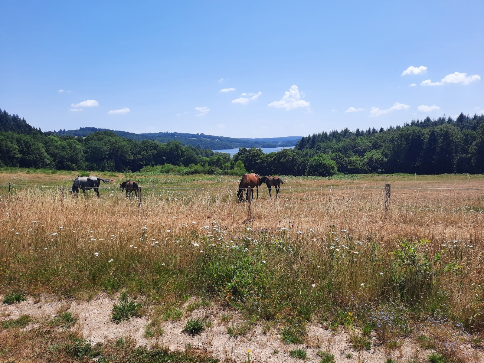 J3, vers Royère de vassivière 