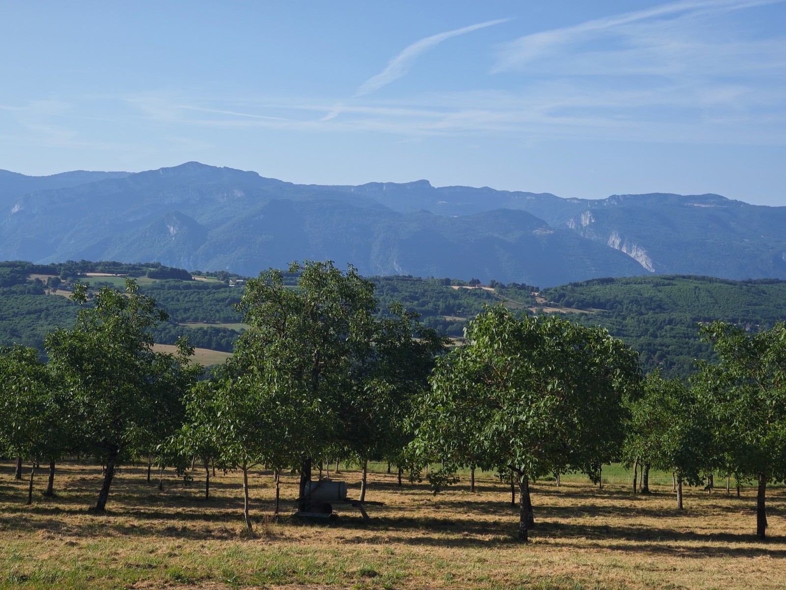 #1 Les noyers devant le Vercors (Les Coulmes) Les noyers devant le Vercors (Les Coulmes)