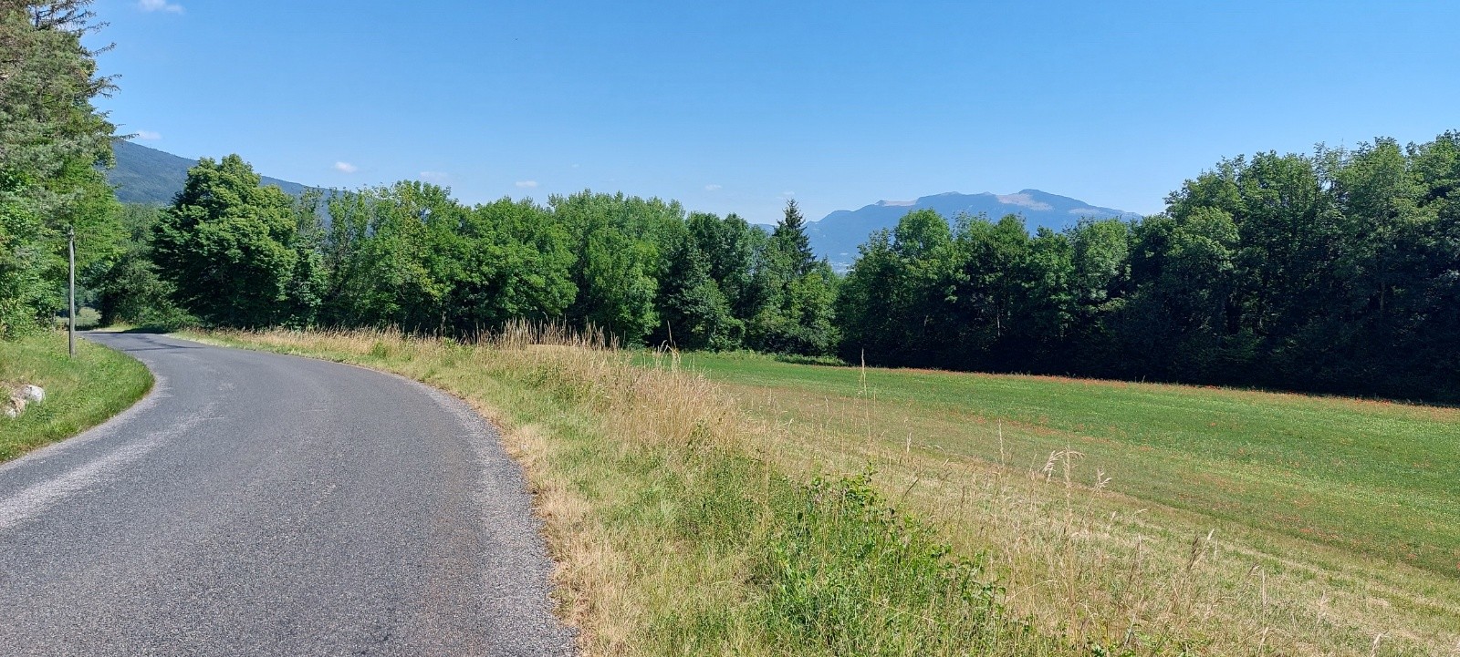 #5 Descente Richemond Descente Richemond