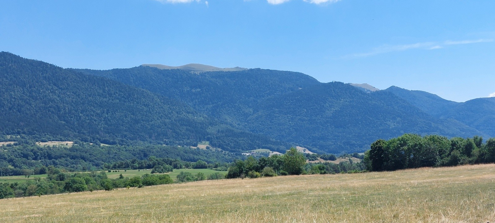 #8 Gd Colombier Gd Colombier