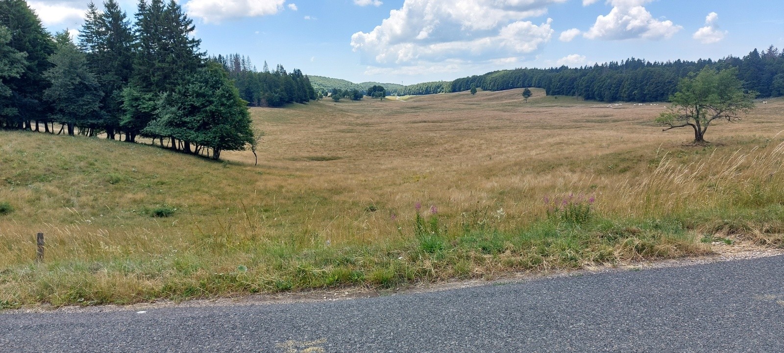 #7 Plateau du Retord Plateau du Retord
