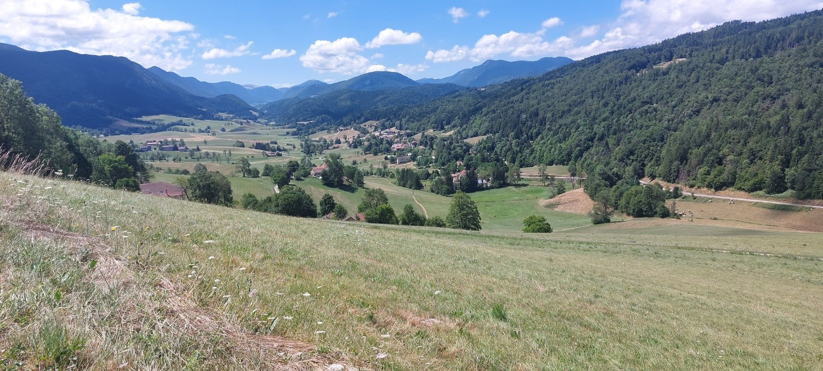 Montée col d'Herbouilly 