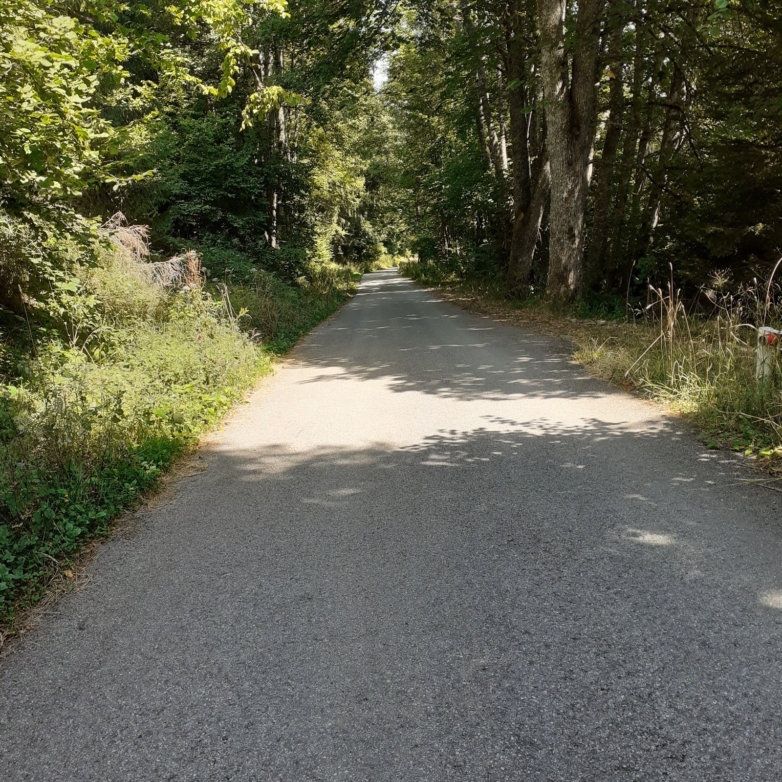 #4 Au plus raide, vers le chalet Jean Castaing Au plus raide, vers le chalet Jean Castaing