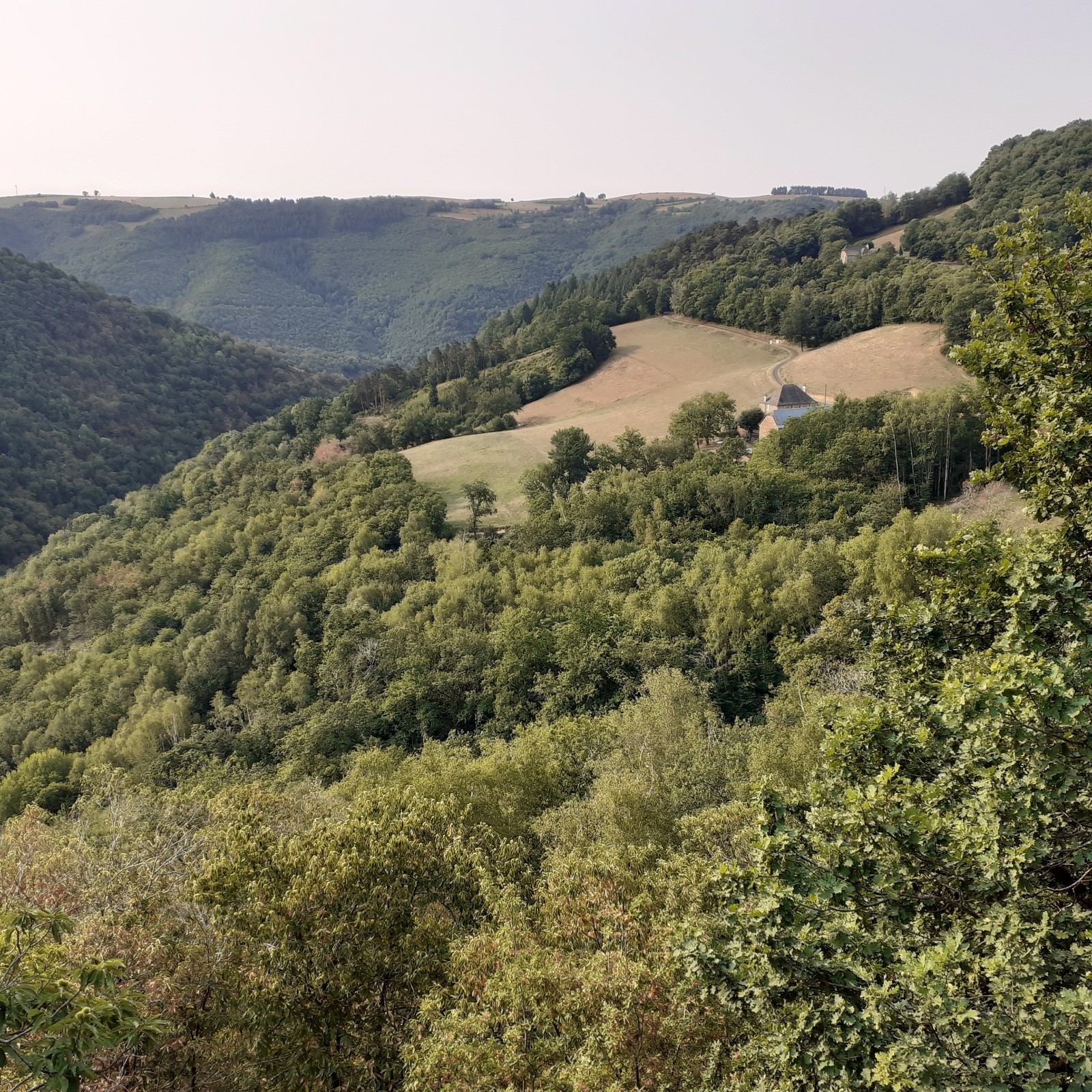#24 J4, vers Cassaniouze avant de descendre dans la vallée du Lot J4, vers Cassaniouze avant de descendre dans la vallée du Lot
