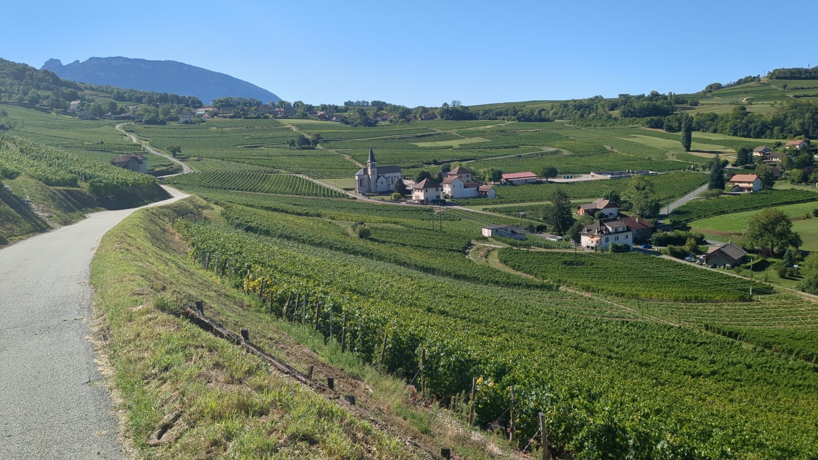 #5 Le vignoble à Jongieux...magnifique Le vignoble à Jongieux...magnifique