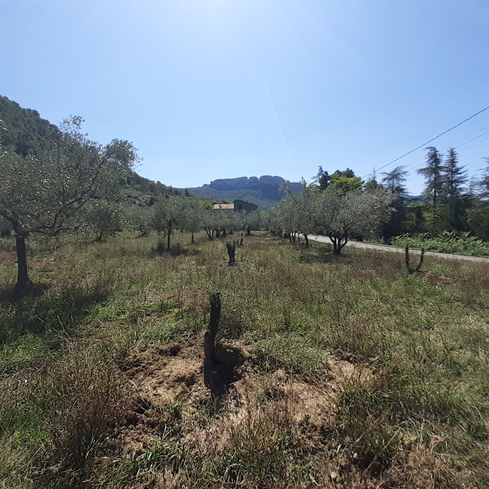 #4 J1, le rocher de Buis les Baronnies J1, le rocher de Buis les Baronnies