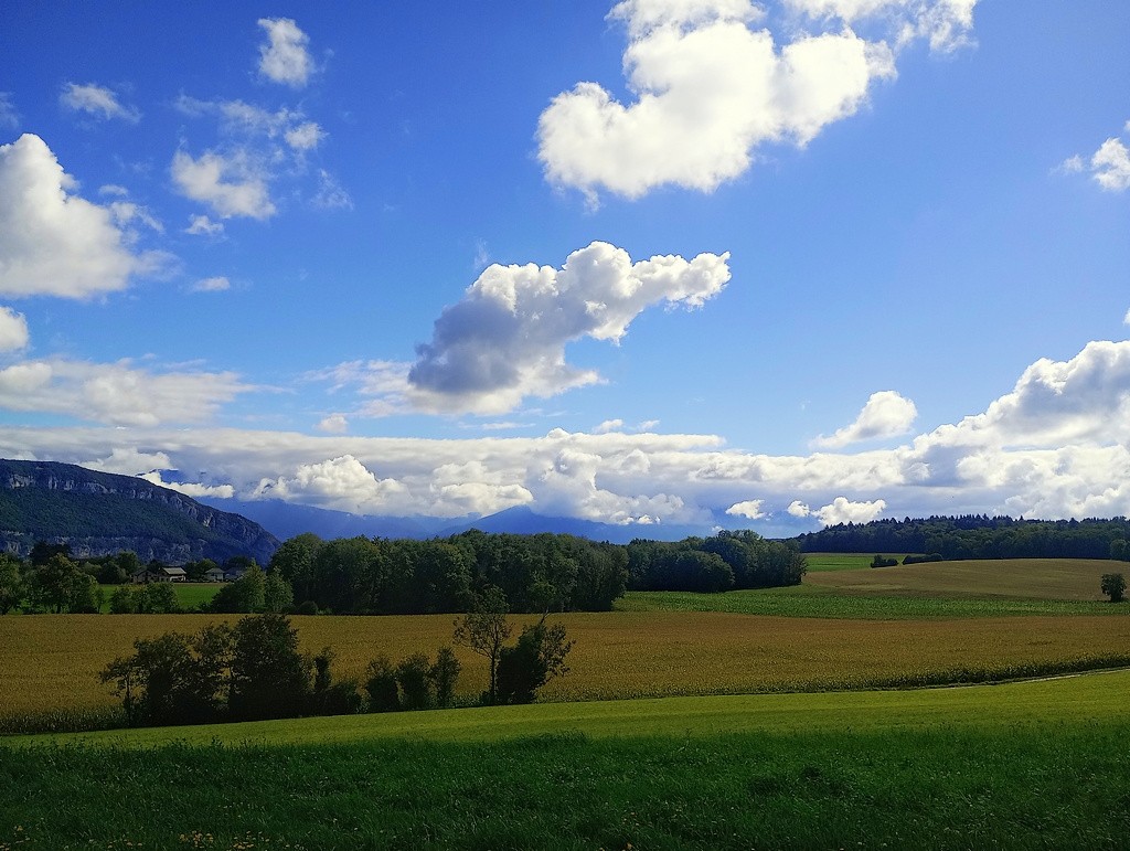#5 Un paysage plus que connu que je parcours avec un vélo bien différent Un paysage plus que connu que je parcours avec un vélo bien différent
