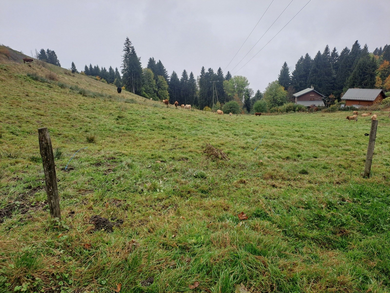 #2 Bien nuageux plus haut Bien nuageux plus haut