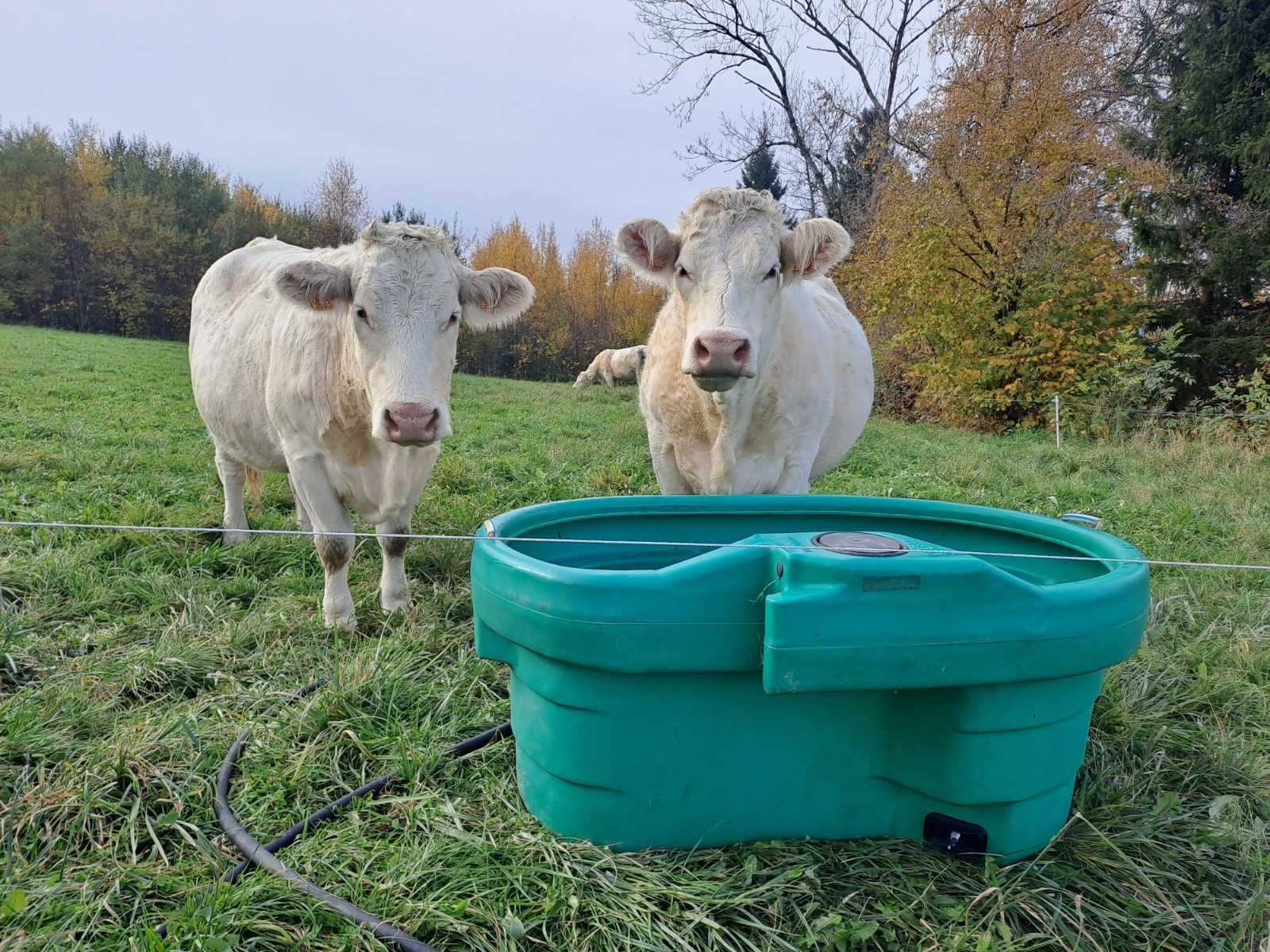 Bien contentes de ma visite 