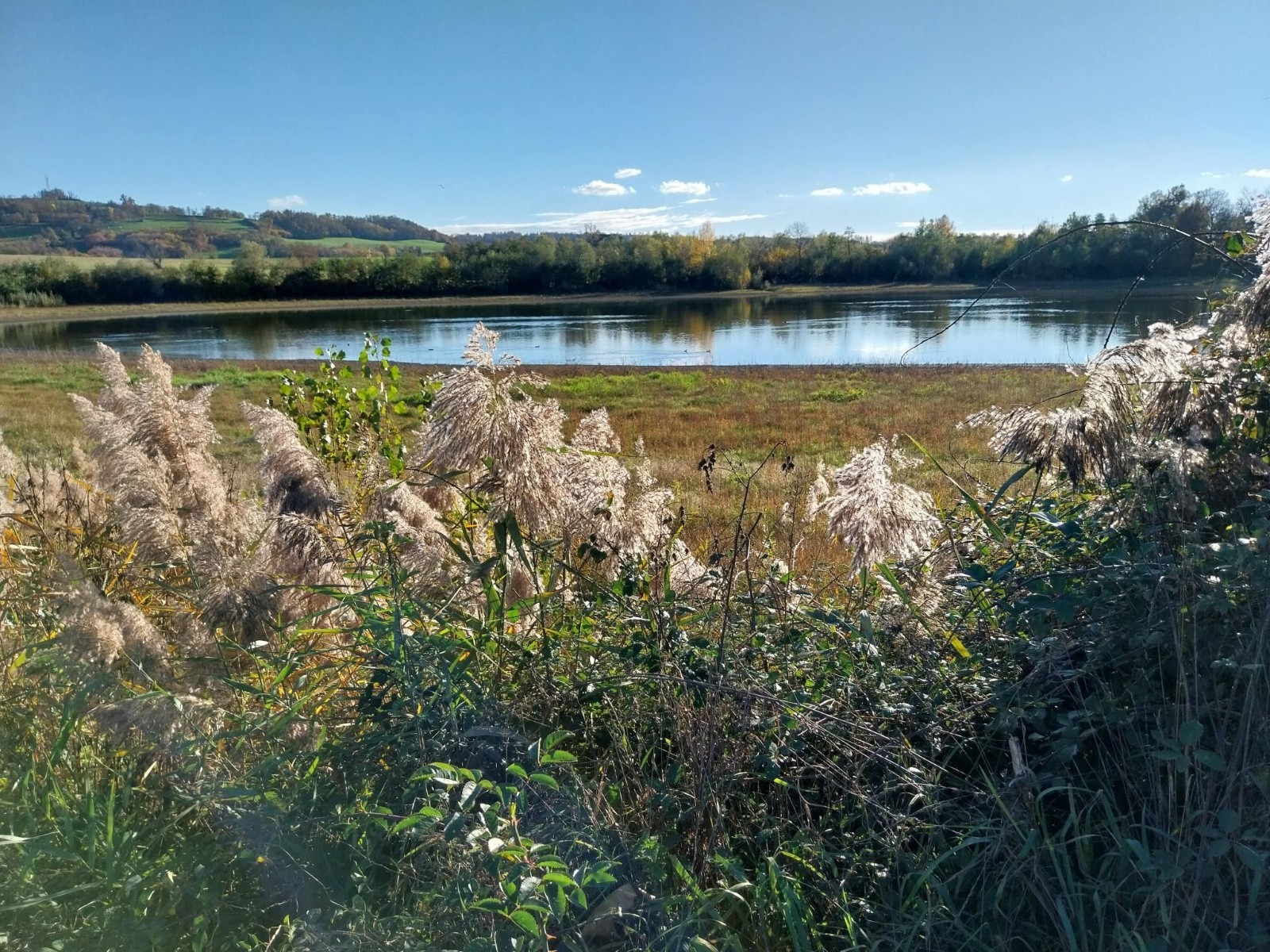 #1 Lac Clair Lac Clair