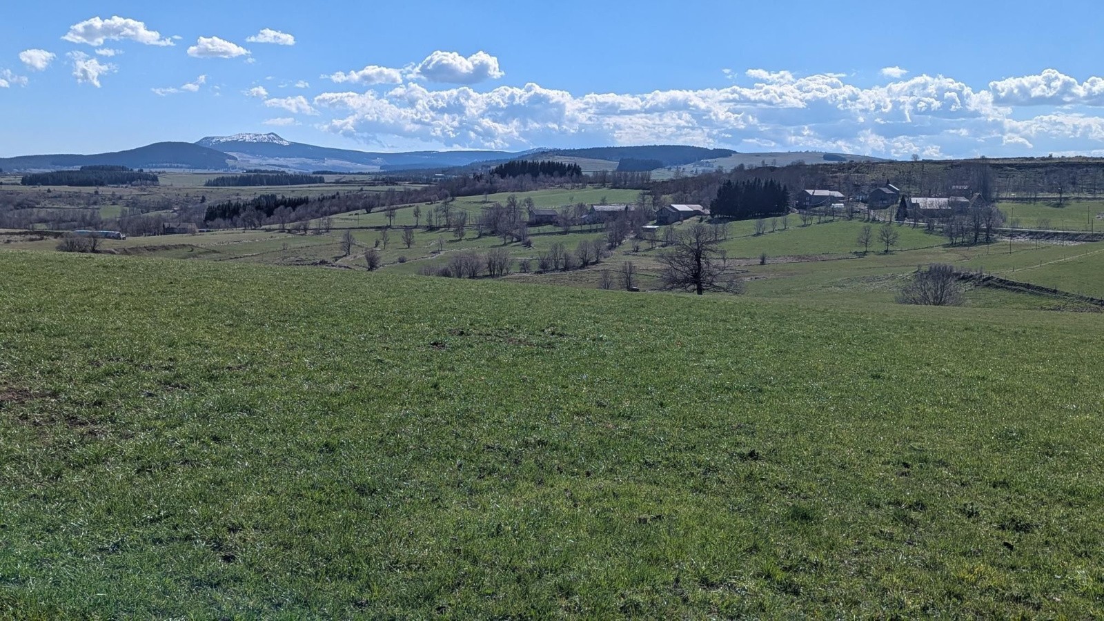 Le Mézenc au fond&nbsp;