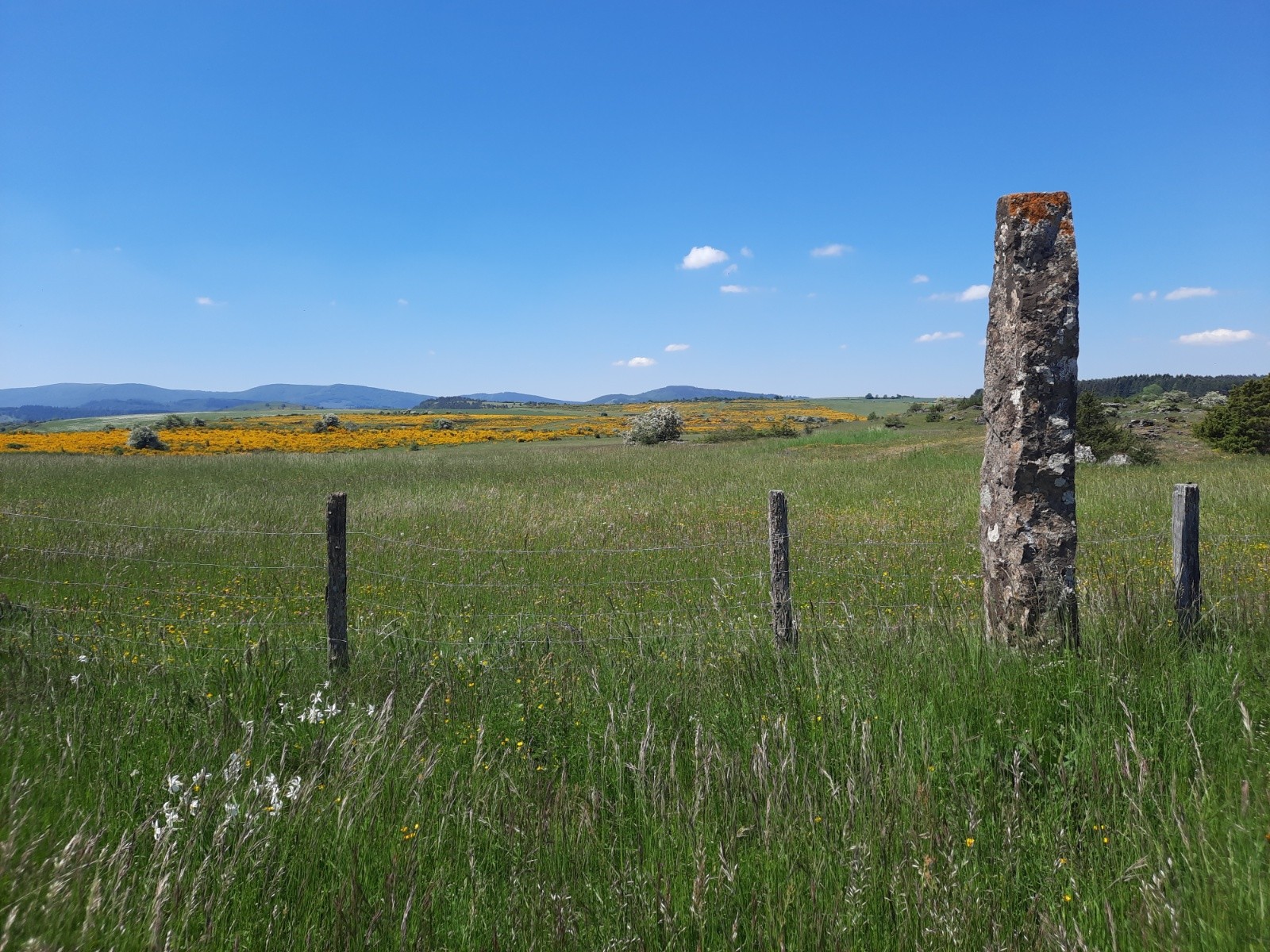 #19 Sur la Corniche des Cévennes Sur la Corniche des Cévennes