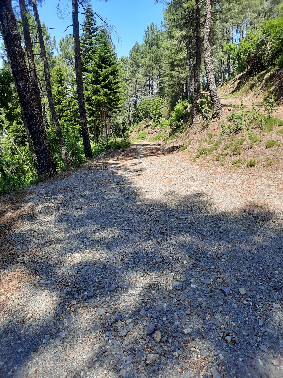 #22 Un zeste de gravel entre le col St Pierre et la descente sous St Etienne Un zeste de gravel entre le col St Pierre et la descente sous St Etienne