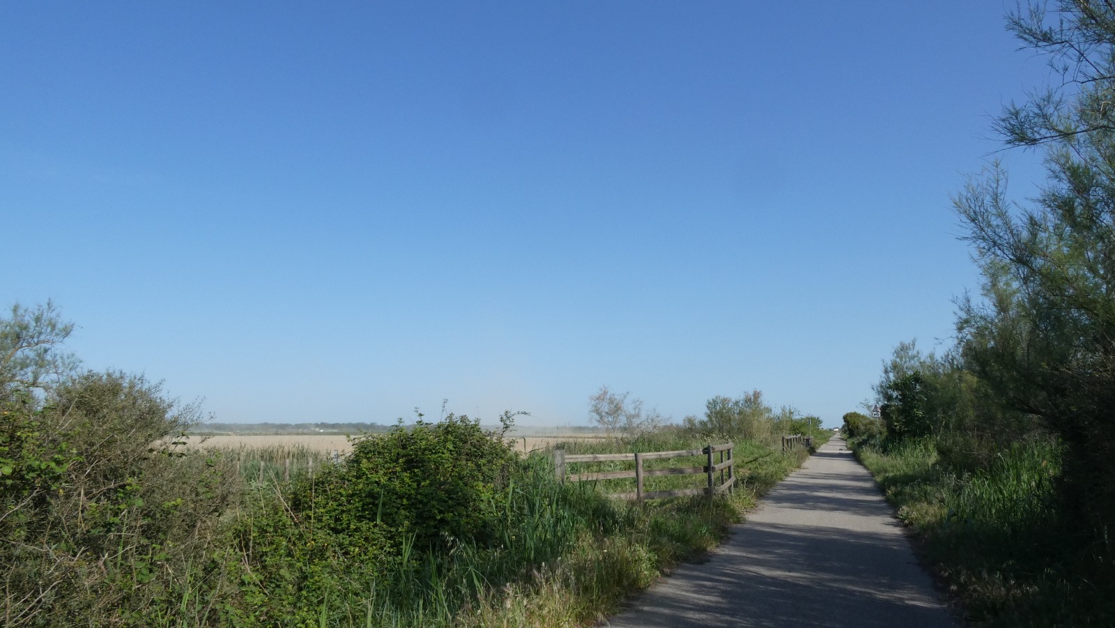 #2 L L'interminable voie verte avant St Martin de Crau