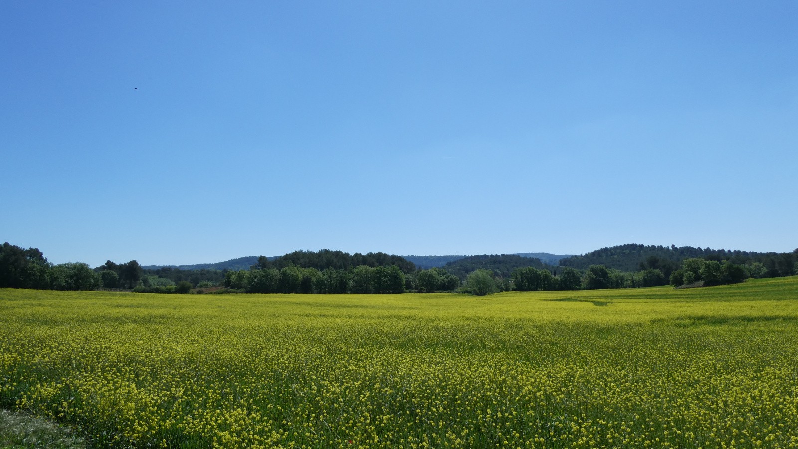 #6 paysage du Luberon paysage du Luberon