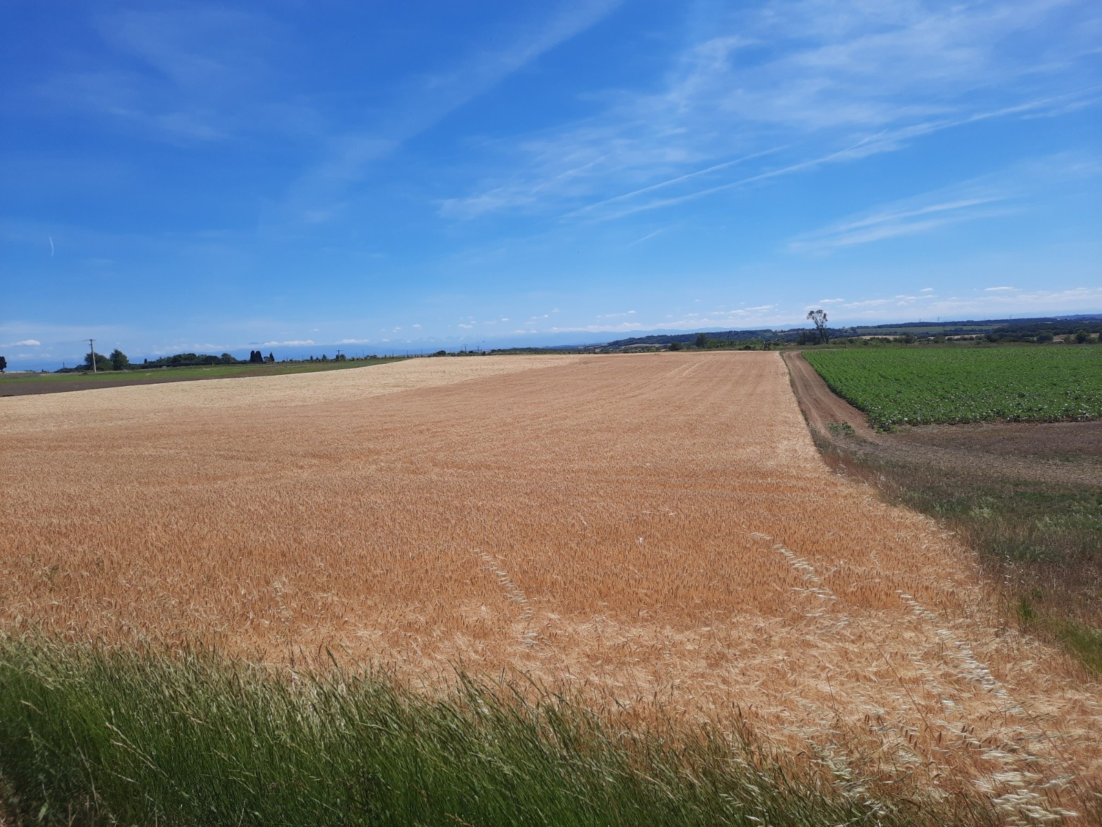 J2 Une vue jusqu'aux Pyrénées encore enneigées