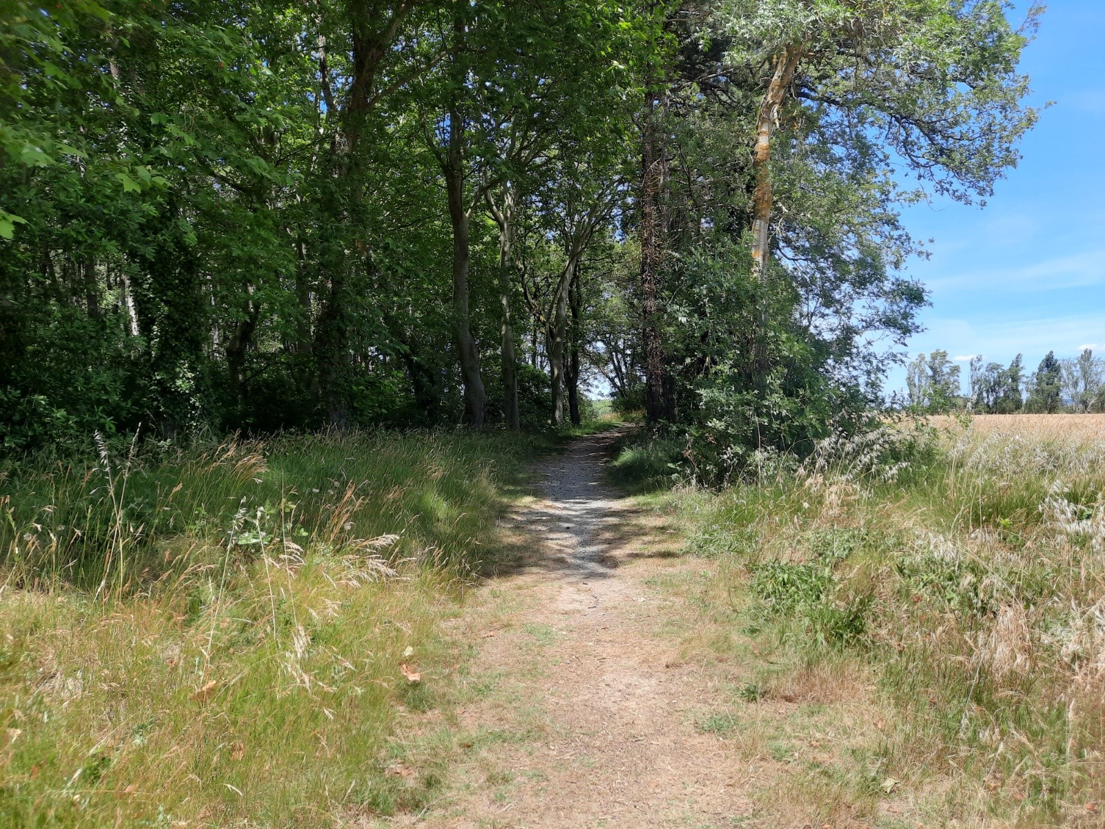 &nbsp;J2 La Rigole de la Plaine