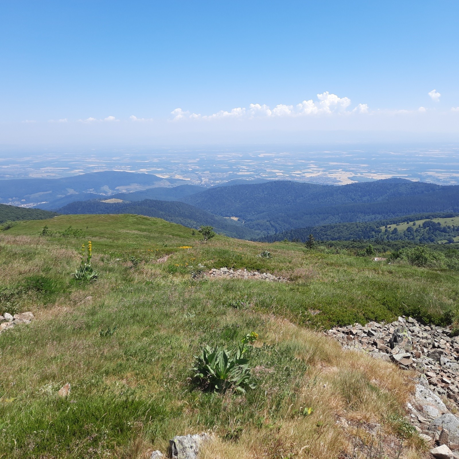 J3 La plaine d'Alsace