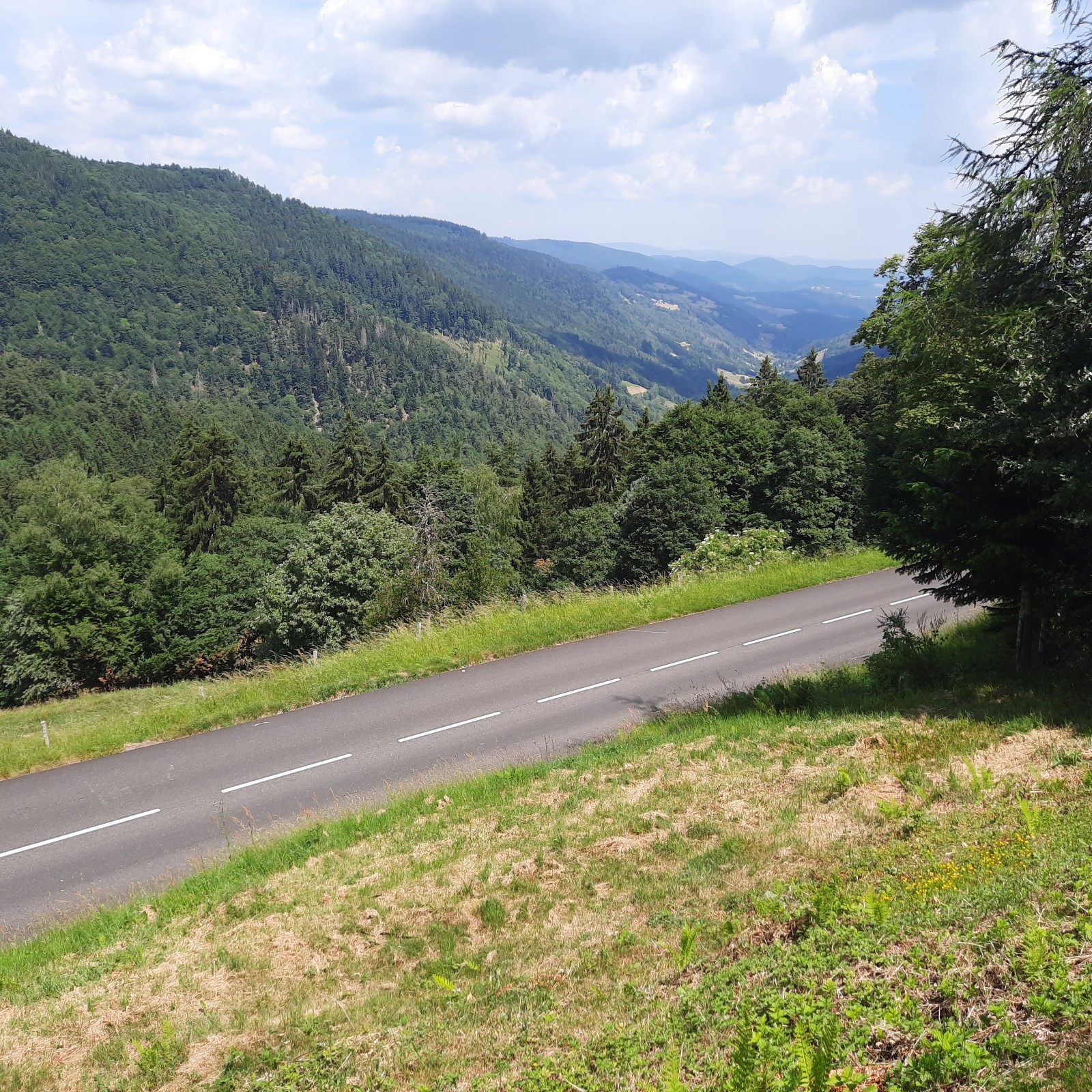 J2 depuis le refuge du Club Vosgien au col des Bagenelles