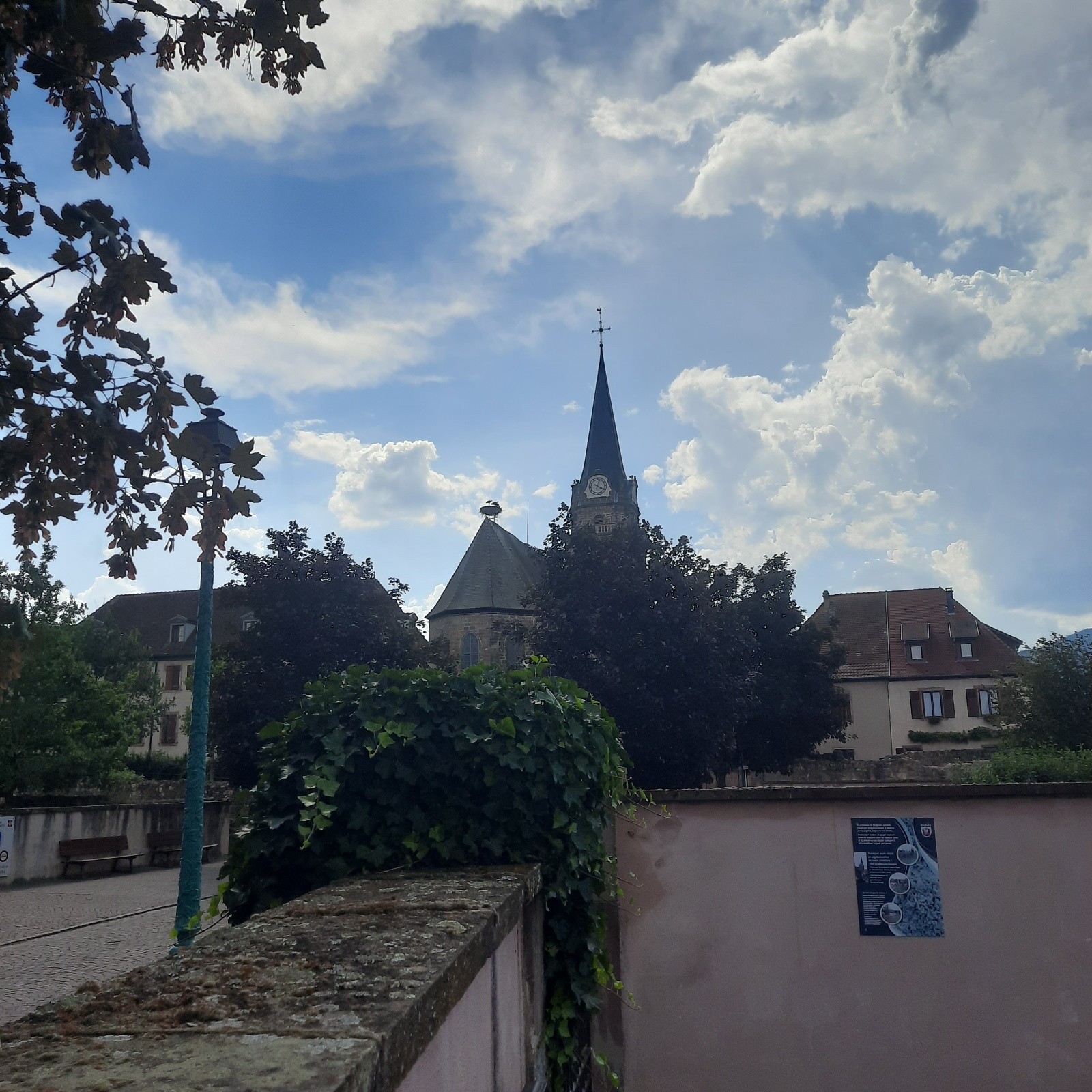 J1 Nid occupé