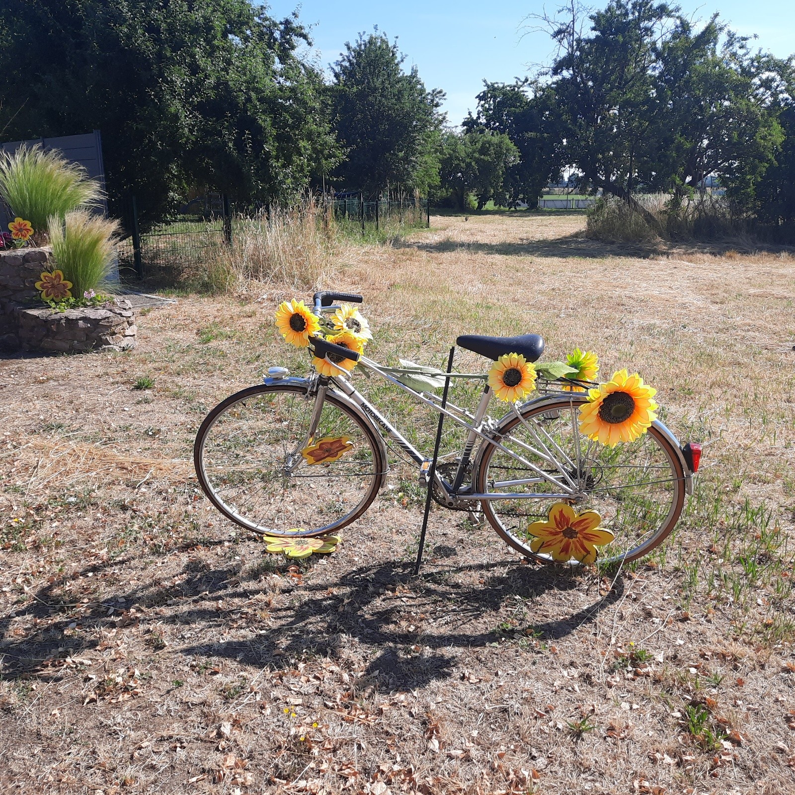 J1, vélo et tournesol