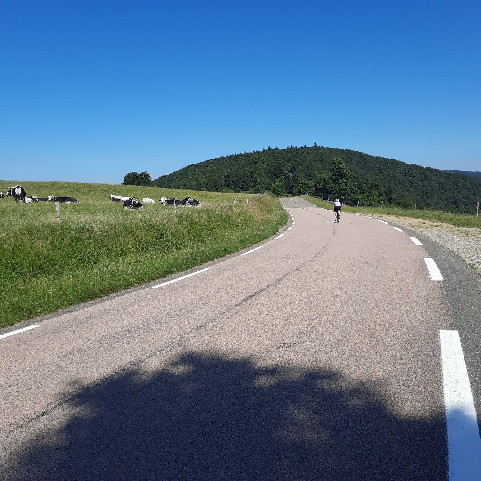J3 Entre le Honeck et le Markstein