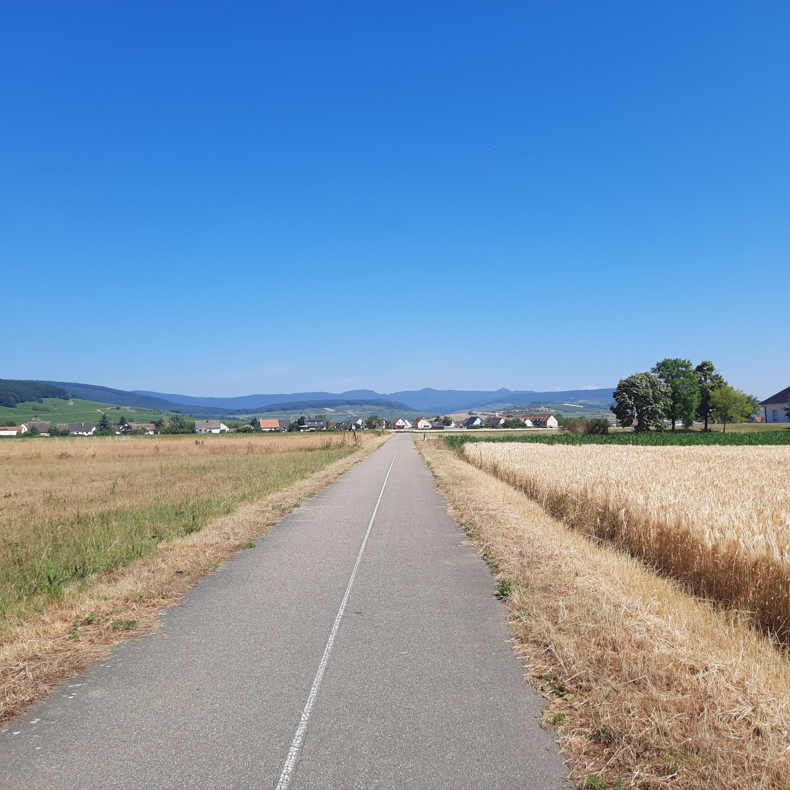 J1 vue sur la Ligne bleue depuis la Via Romea