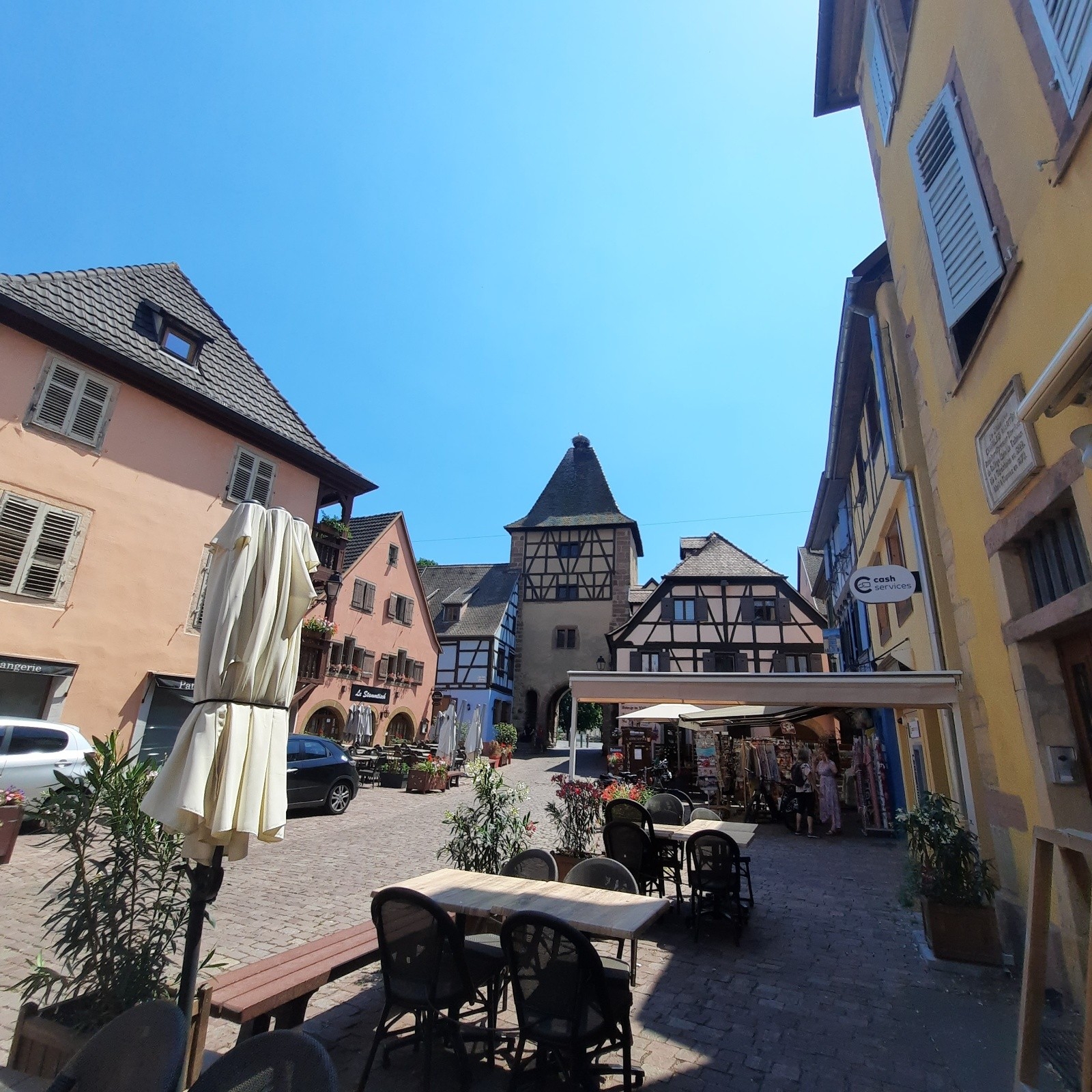 J1 Couple de cigognes dans son nid à Turckheim