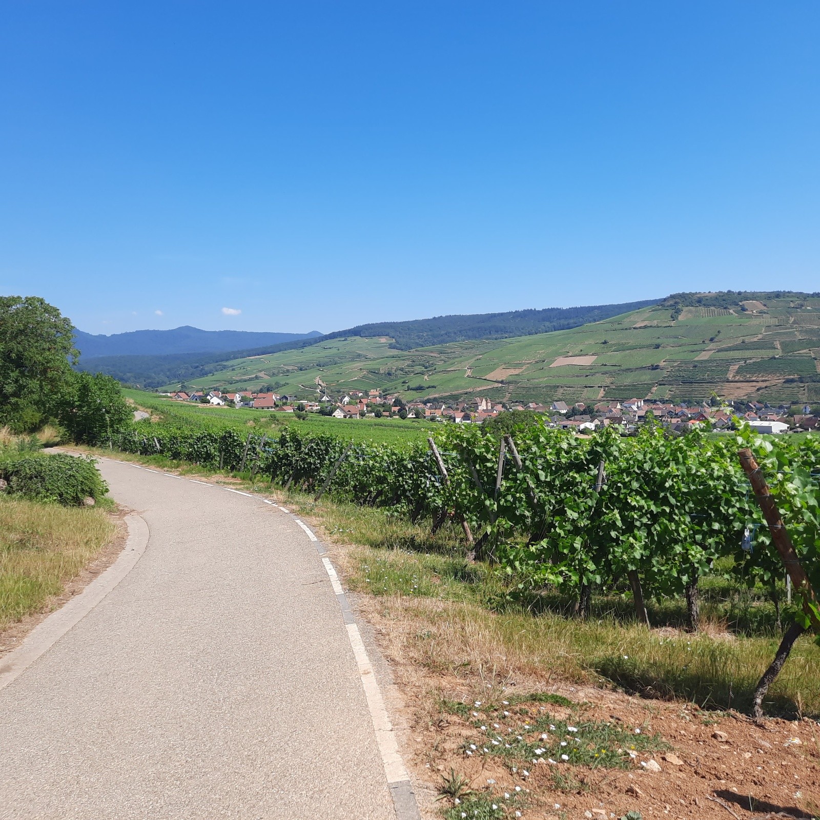 J1, Via Romea ou route des Vins
