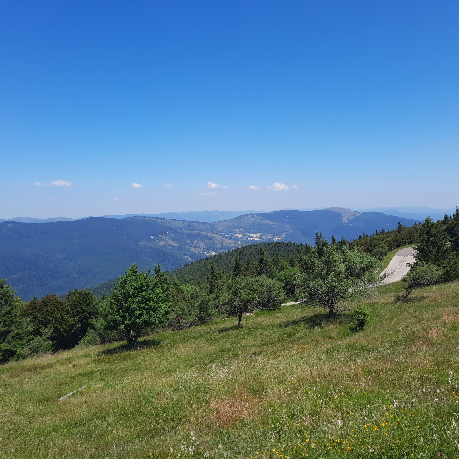 J3 Du col vers le Markstein